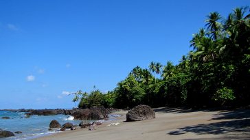 Corcovado National Park by Jose R via Wikimedia CC