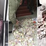Girl Accidentally Discovers Father’s Secret Savings After Breaking Vase At Home
