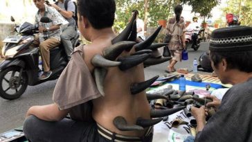 Heated Water Buffalo Cupping Technique photo via DKN.TV