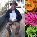 100-year-old Igorot Man Shares That Squash, Banana, and Camote are His Secrets to a Long Life