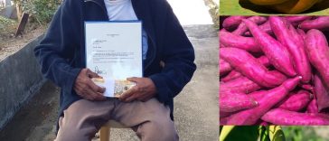 100-year-old Igorot Man Shares That Squash, Banana, and Camote are His Secrets to a Long Life
