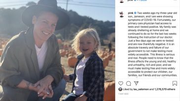 Singer Pink says she had COVID-19 coronavirus