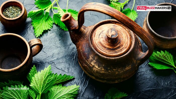 Alingatong Tea Benefits