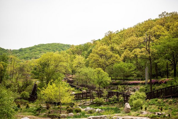 Seokmodo Arboretum Seokmodo Arboretum