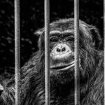 Famous People who have been found guilty of sexual offenses