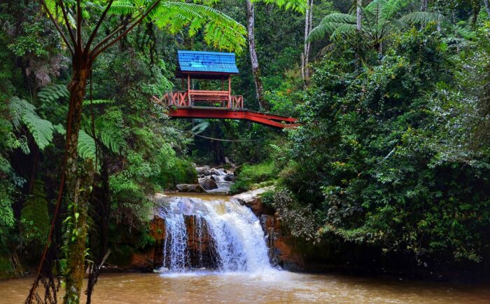 Best of Nature at Cameron Highlands