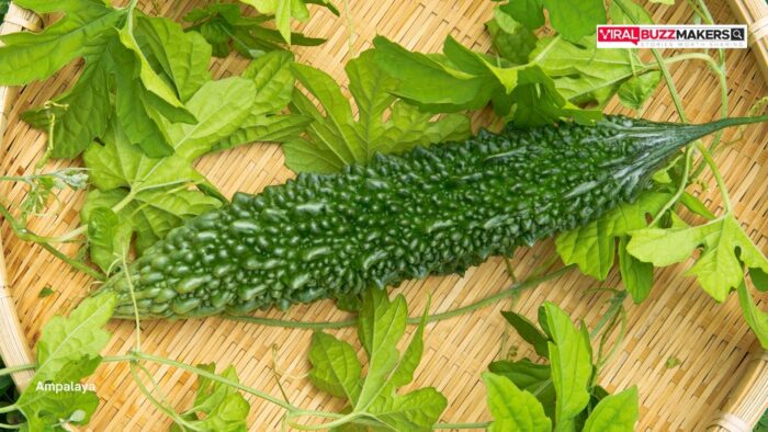 Ampalaya