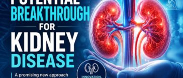Potential Breakthrough for Kidney Disease