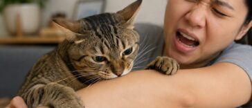 This is why your cat bit you