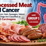 Processed Meat and Cancer: Why Bacon, Ham, Sausages, Salami and Hot Dogs Are Classified as Group 1 Carcinogens